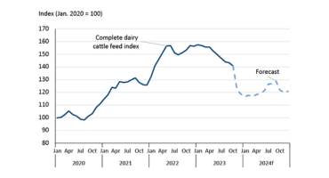 Dairy feed cost index declined in latter half of 2023 as US corn prices retreated